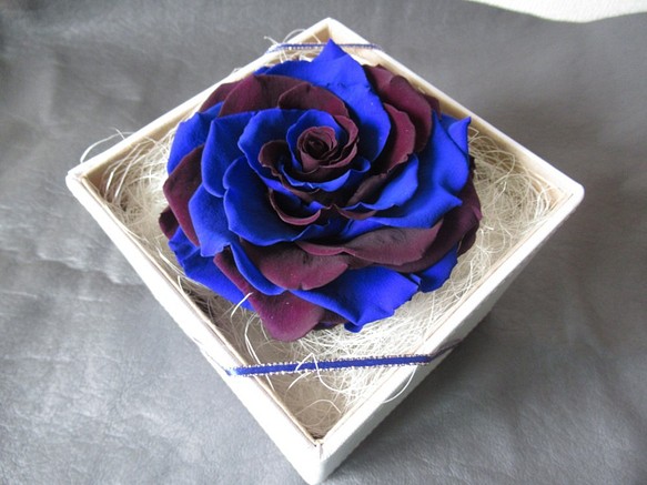 【BOXタイプ】バラ　メリア　プリザーブドフラワー　ブルー・濃い紫 1枚目の画像