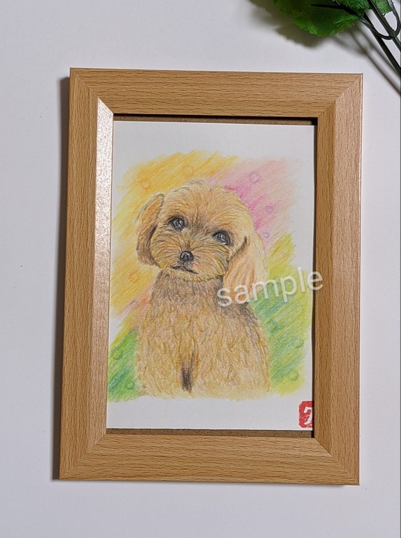 犬の絵 トイプードル イラスト 原画 色鉛筆 | トイプードルの色鉛筆画 