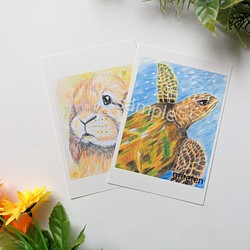海亀イラストとうさぎイラストポストカードアート　うさぎと亀 1枚目の画像