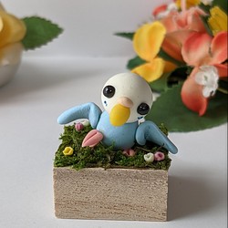 セキセイインコ置物  ミニチュア雑貨 コバルトブルーセキセイ人形(ペットオーダー うちの子オーダー)　粘土 1枚目の画像