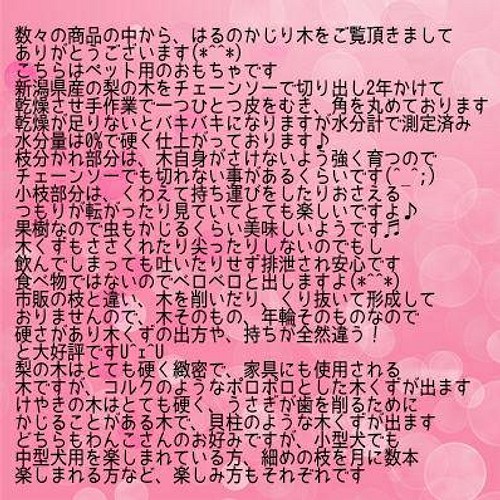 250.犬のおもちゃ犬用、かじり木梨の木、あまがみ対策、歯固め、中型犬