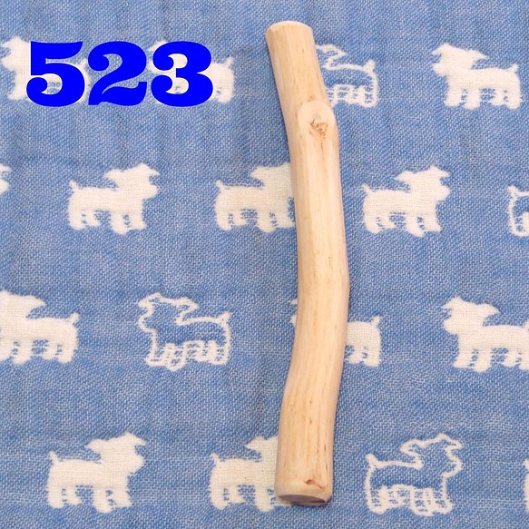 523.犬のおもちゃ犬用、歯固め、かじり木梨の木、超小型犬向き 1枚目の画像