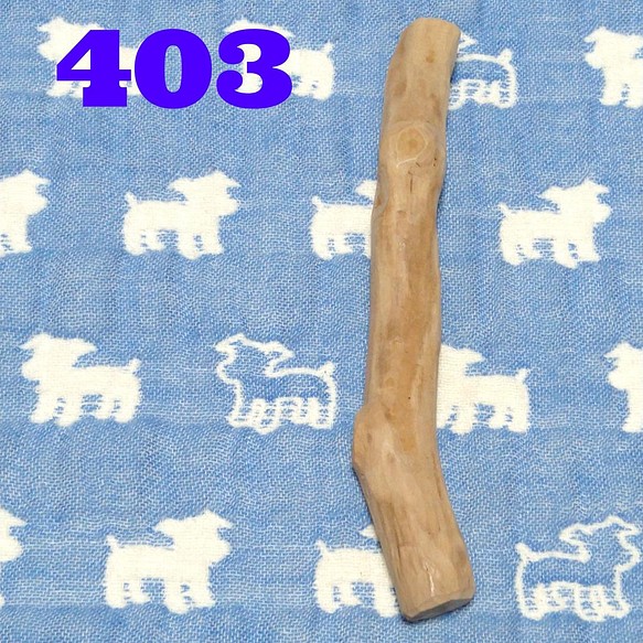 403.犬のおもちゃ犬用、かじり木梨の木、あまがみ対策、歯固め、小型犬向き 1枚目の画像