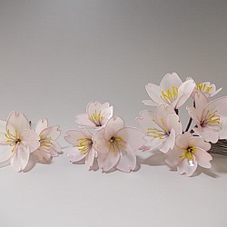 櫻花（花舞蹈家）組梳·U銷 第1張的照片