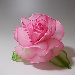 玫瑰玫瑰（桃子）梳形髮夾 第1張的照片