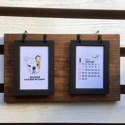 2017年版 壁掛けカレンダー イングリッシュブルドッグ 1枚目の画像