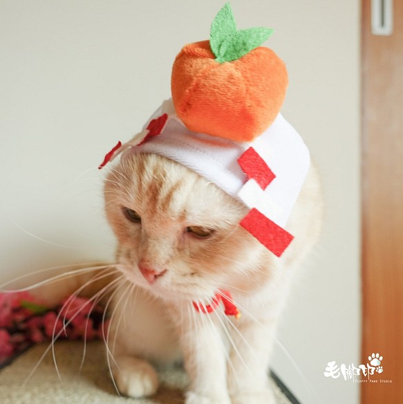 猫/小型犬ペット帽子 - 日本のお正月鏡餅キャップ（お正月限定） 1枚目の画像