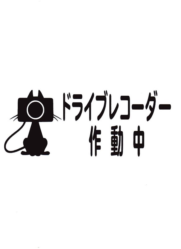 ドライブレコーダー カッティングステッカー ２４ お手頃価格