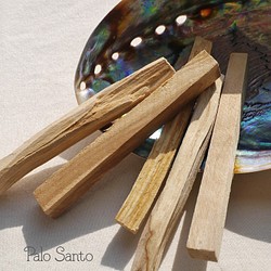 天然香木パロサント(エクアドル産)5本詰合せ スティックタイプ 聖なる樹インカの聖なる香木[pal-201118-01] 1枚目の画像