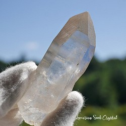 天然石レムリアンシードクリスタル約46g約69mm(セラ・ド・カブラル産)水晶ポイント[lem-211116-01] 1枚目の画像