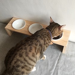 [防水]  [實木] 寵物餐桌 三口碗架 附瓷碗 第1張的照片