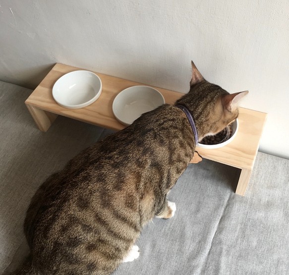 [防水]  [實木] 寵物餐桌 三口碗架 附瓷碗 第1張的照片