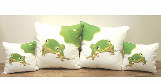{E&A Life Design}台北樹蛙抱枕四件組 第1張的照片
