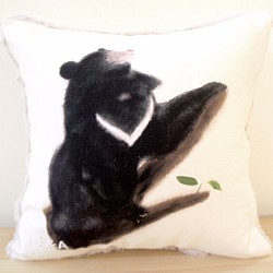 台灣黑熊&土肉桂抱枕-30cm 第1張的照片