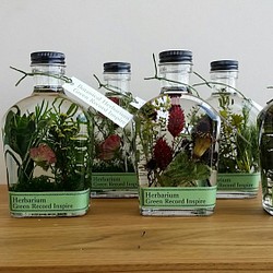 ハーバリウム・グリーンプランツの草花景色2♬ 1枚目の画像