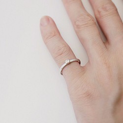 fake diamond ring  偽物 ダイヤモンド 指輪 第1張的照片