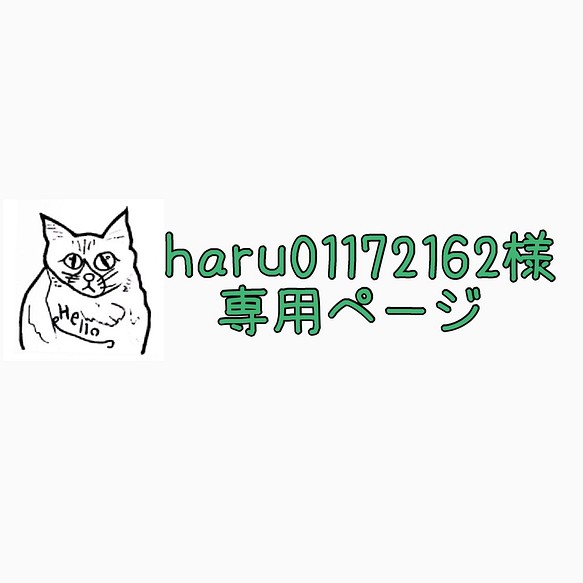 haru01172162様専用ページ 1枚目の画像