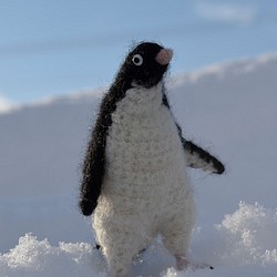 【販売終了】かしましいアデリーペンギン 1枚目の画像