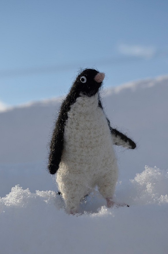 【販売終了】かしましいアデリーペンギン 1枚目の画像
