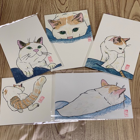 猫イラストポストカード5枚組 1枚目の画像