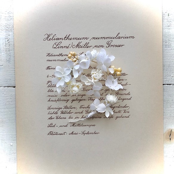(送料込) 布花 紫陽花と　ミニマムの　ホワイトコサージュ 1枚目の画像