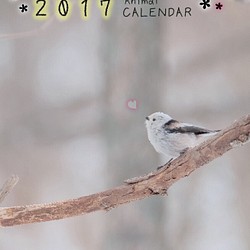 【壁掛けA3】2017年度版かわいい動物カレンダー 1枚目の画像