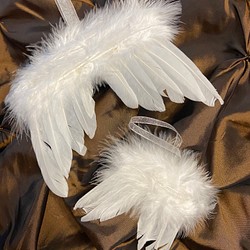 天使の羽・エンジェル・ウィング／大小2枚組 1枚目の画像