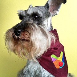 Frenchieの新しいライフスタイルペットの犬の戦いの法律の綿の刺繍スカーフ 1枚目の画像