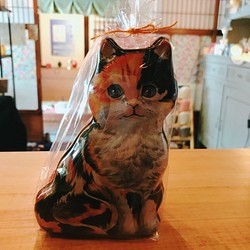 neco缶　ギフト -おしゃれの好きなのキジ猫さん- 1枚目の画像