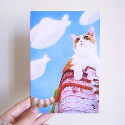 可愛動物插畫卡片 明信片(貓咪) 第1張的照片