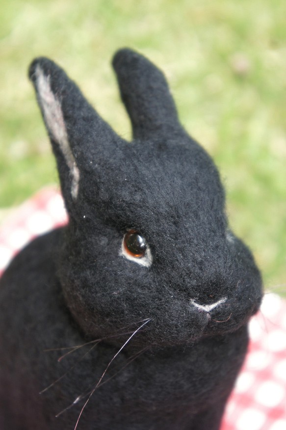 羊毛氈擬真兔兔客製化 (15cm大) 第1張的照片