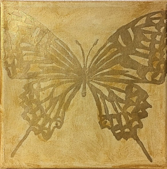 蝶 1枚目の画像