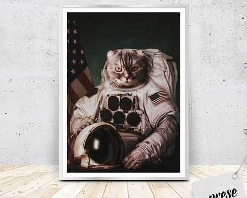 猫の宇宙飛行士、キャット・アストロノート 写真・グラフィック 
