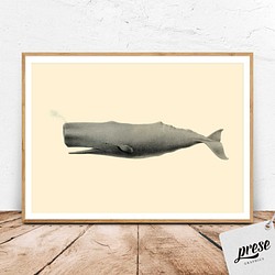 ヴィンテージなマッコウクジラ、海洋学者のイラスト 1枚目の画像