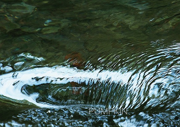 流れ-4 PH-A4-0122 写真 水 清流 流れ 富士山 渓流 伏流水 写真 ...
