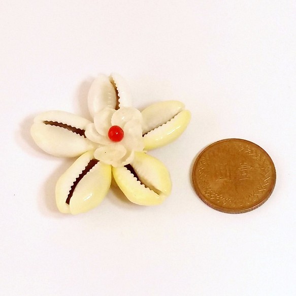 【HSOC海貝原創】手工‧材料包‧黃寶螺‧雙層葉貝殼花(3入) 第1張的照片
