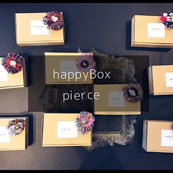 2018 happyBox pierceタイプ 販売前です 1枚目の画像