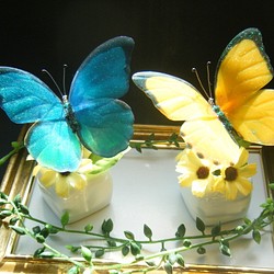 ペーパーウエイト　レジンの蝶　幸せ雫のおすそわけ 1枚目の画像