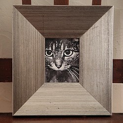 限定作品一点物「テオ・Theo」猫の肖像画（額装付） 1枚目の画像