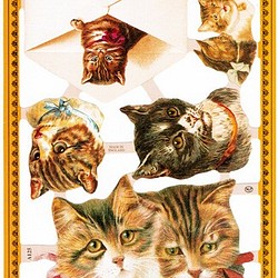 イギリス製クロモス 猫のお手紙 ラメなし DA-CHE039 1枚目の画像