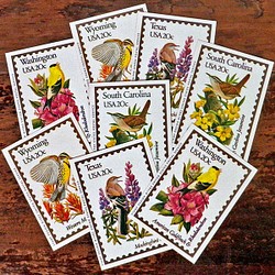 Vintage 鳥切手コレクションカードセット【U.S.A.】DA-CO078 1枚目の画像