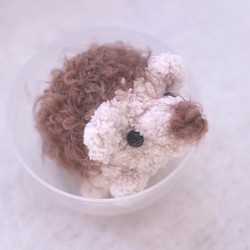総子のパーム - ボタン卵のハリネズミ 1枚目の画像