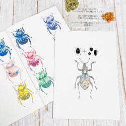 ✴︎新刊✴︎ 鉱物×甲虫 イラスト集 (フルカラー・A5サイズ・20ページ) 1枚目の画像