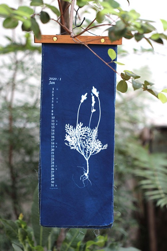 2020年植物布月曆【苻日花草FuRi】手工藍晒/植物圖鑑/布月曆 第1張的照片
