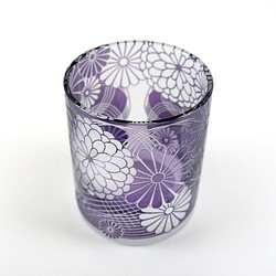 樹花菊【紫苑】 第1張的照片