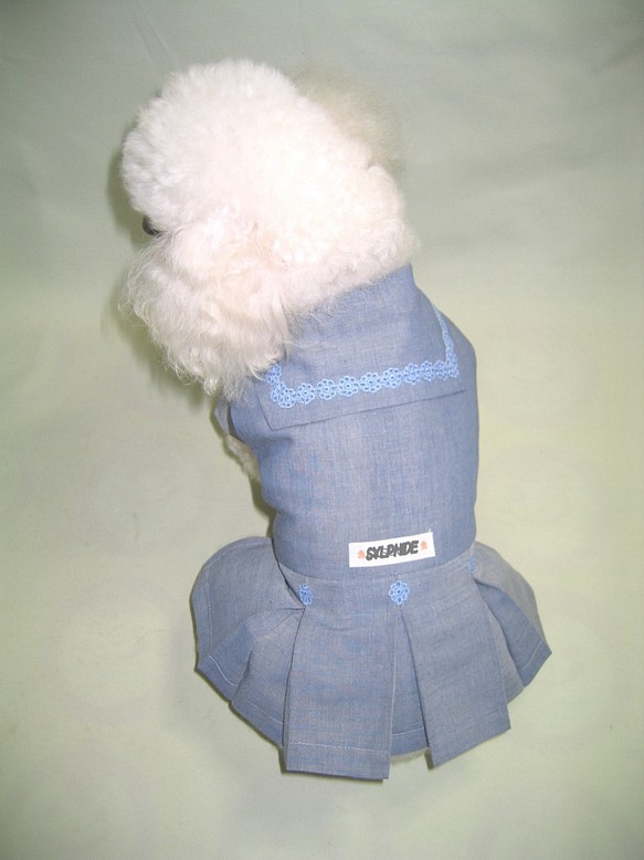 小型犬♀用 無料発送 史上最も激安 セーラー服
