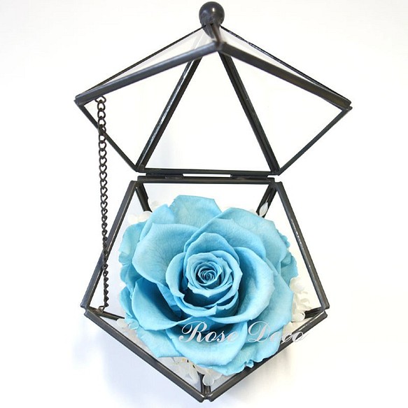 《訂製品》 五角形玻璃珠寶盒 水藍色 不凋玫瑰花 第1張的照片