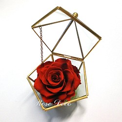 《訂製品》銅金色 五角形珠寶盒 不凋玫瑰花 紅黑色 第1張的照片