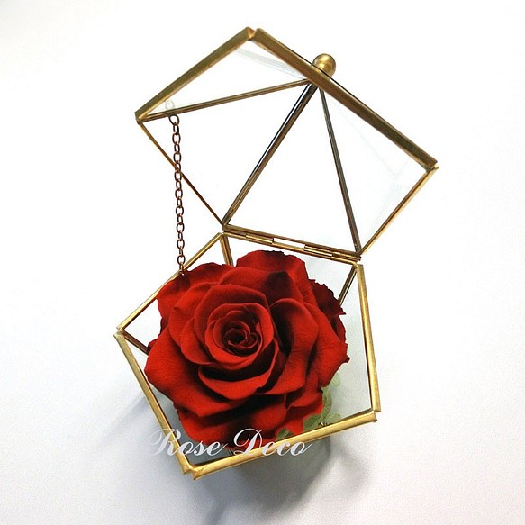 《訂製品》銅金色 五角形珠寶盒 不凋玫瑰花 紅黑色 第1張的照片