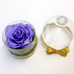 《訂製品》 不凋花玫瑰花玻璃罩 馬卡龍紫 第1張的照片